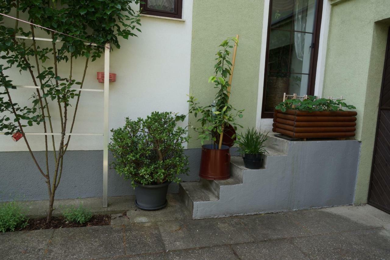 Mönchhof Zur Weinlaube 빌라 외부 사진